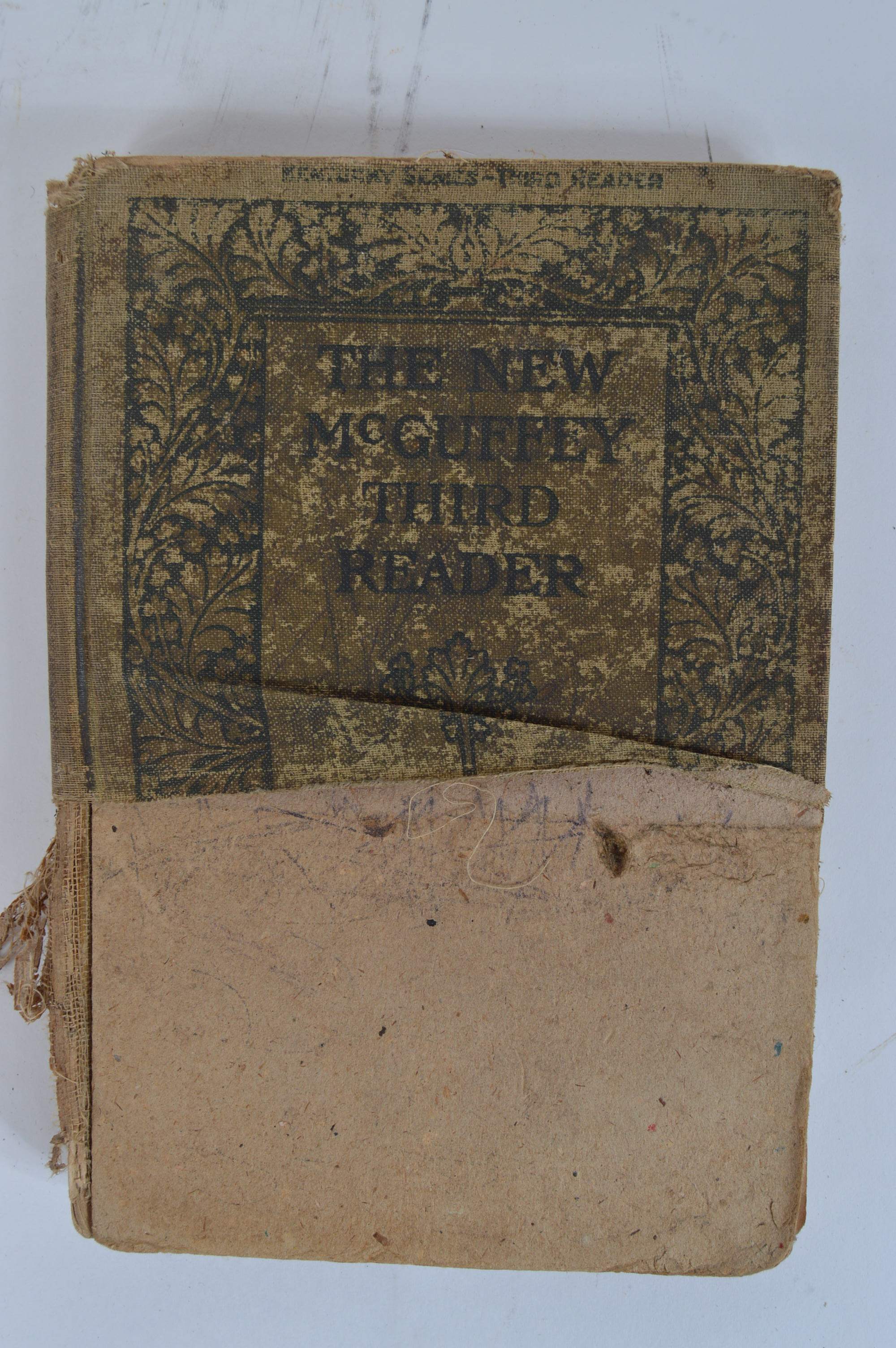 Antique and Vintage Educational Books and Wooden Bookshelf