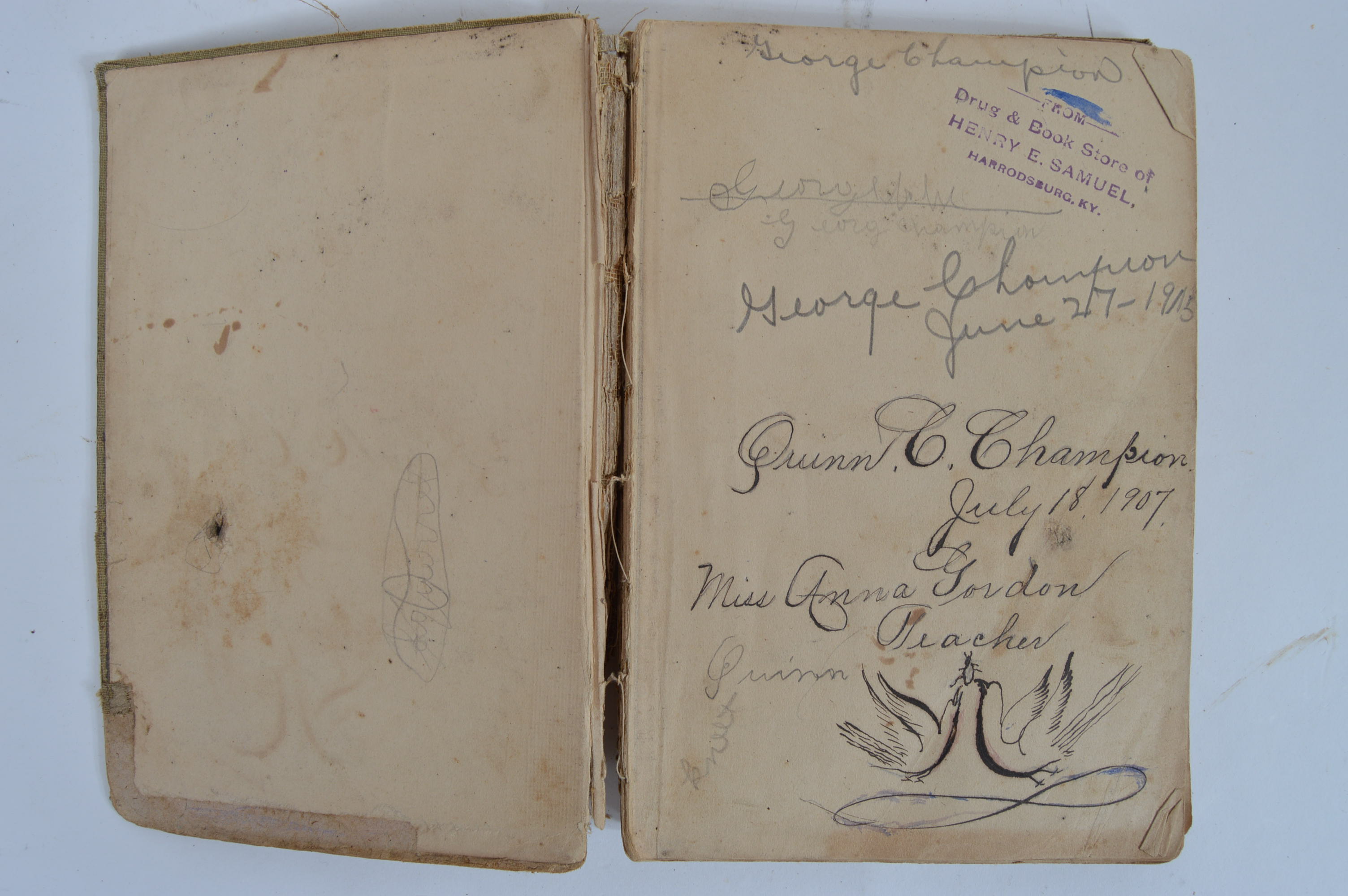 Antique and Vintage Educational Books and Wooden Bookshelf