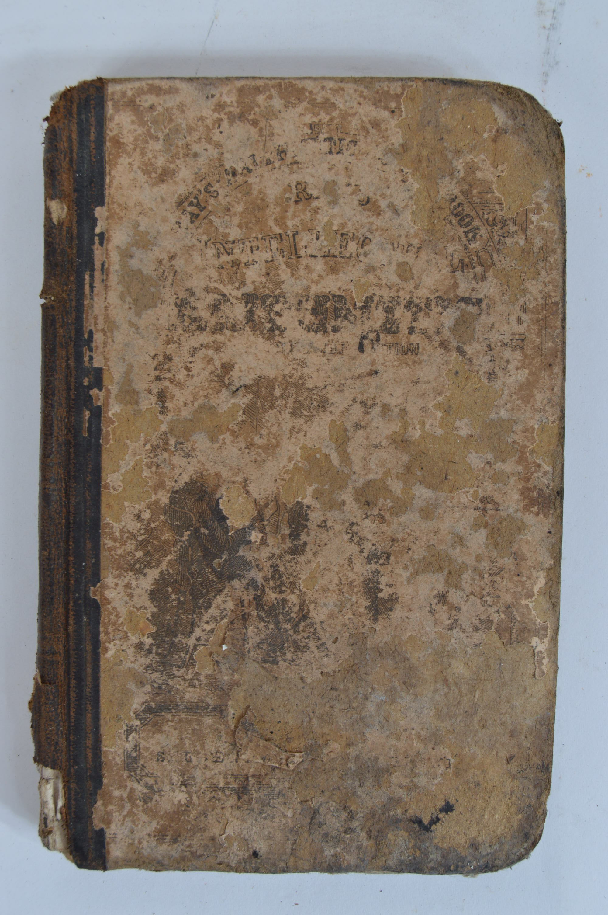 Antique and Vintage Educational Books and Wooden Bookshelf