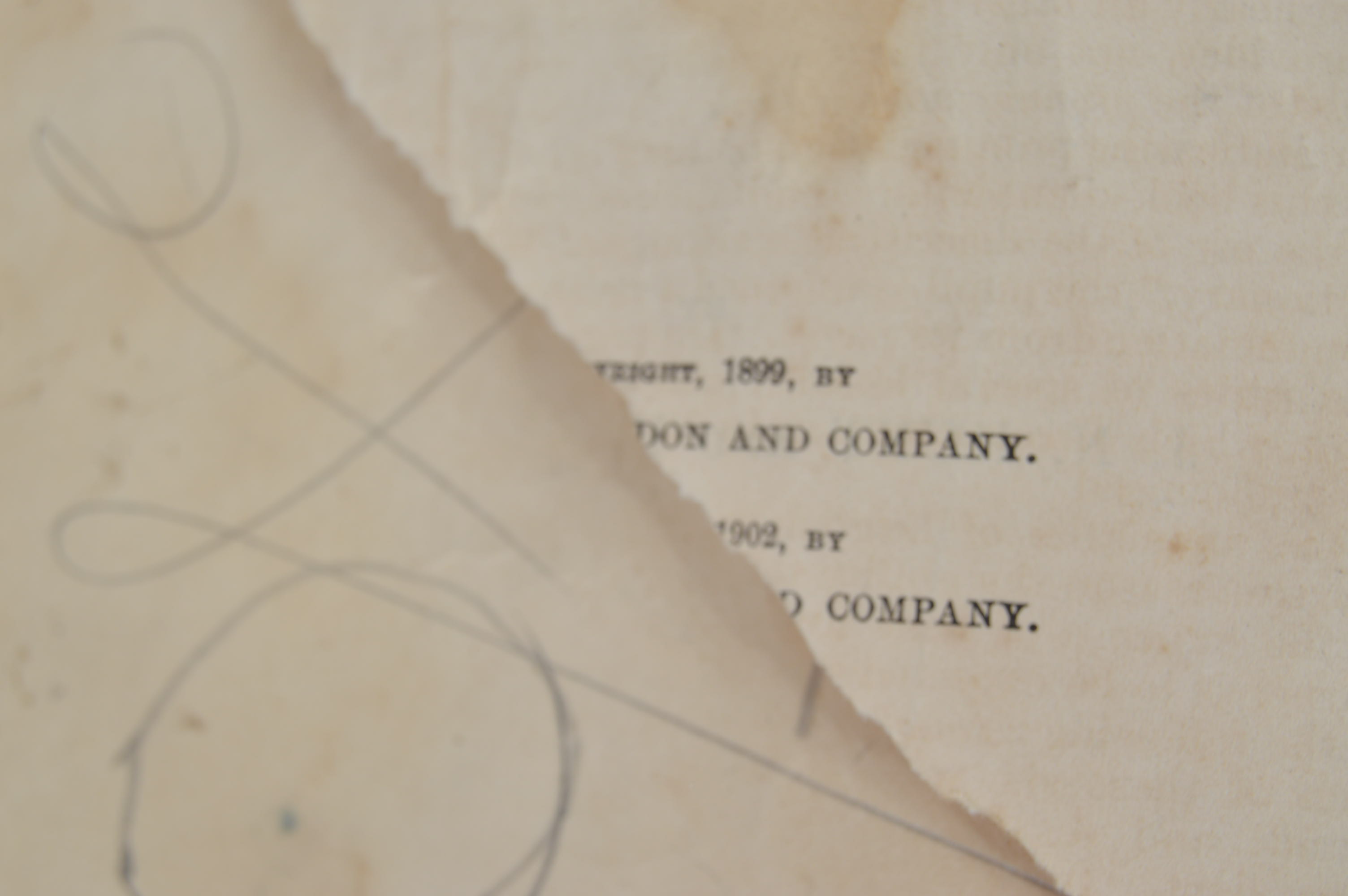 Antique and Vintage Educational Books and Wooden Bookshelf