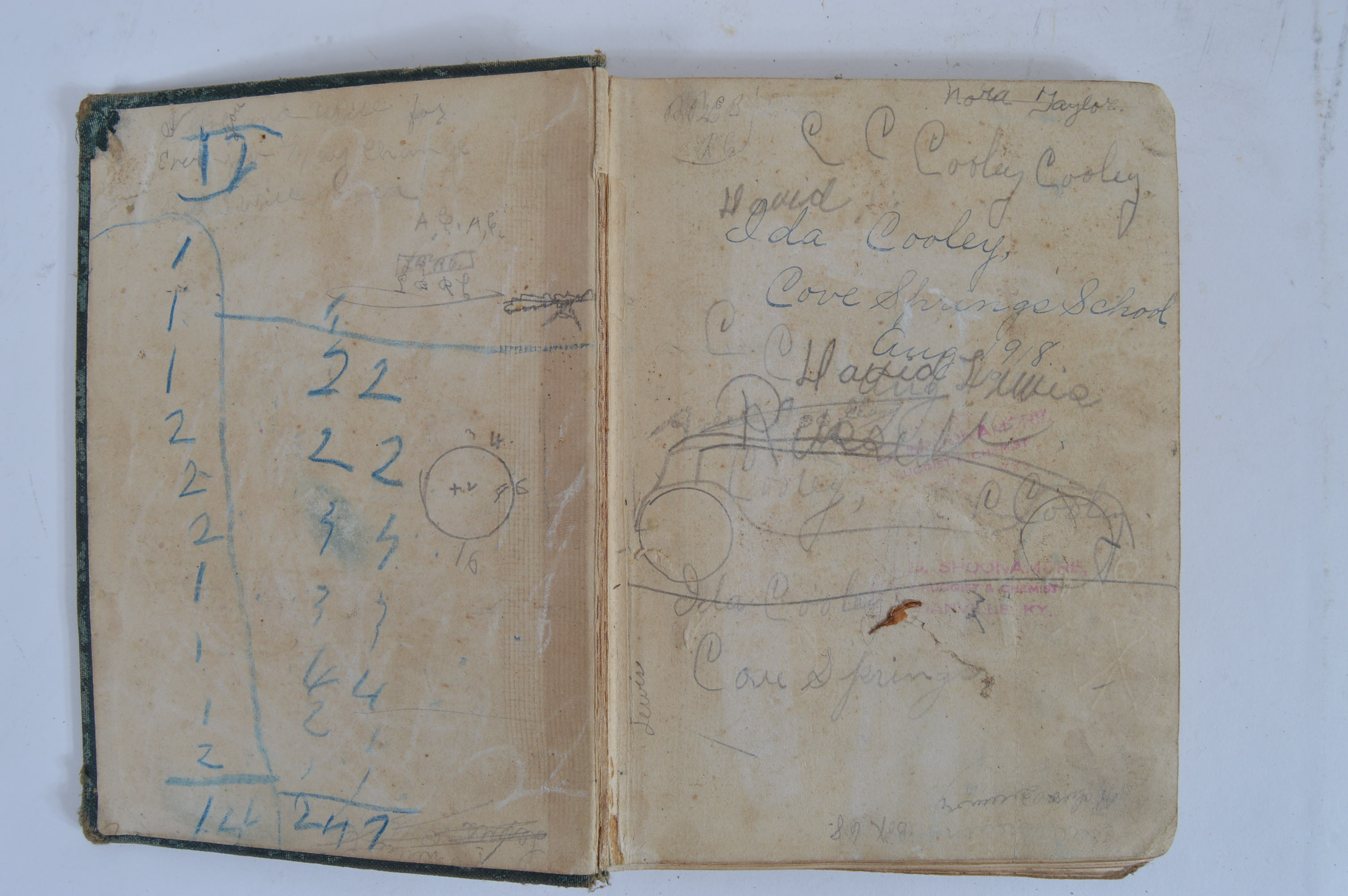 Antique and Vintage Educational Books and Wooden Bookshelf