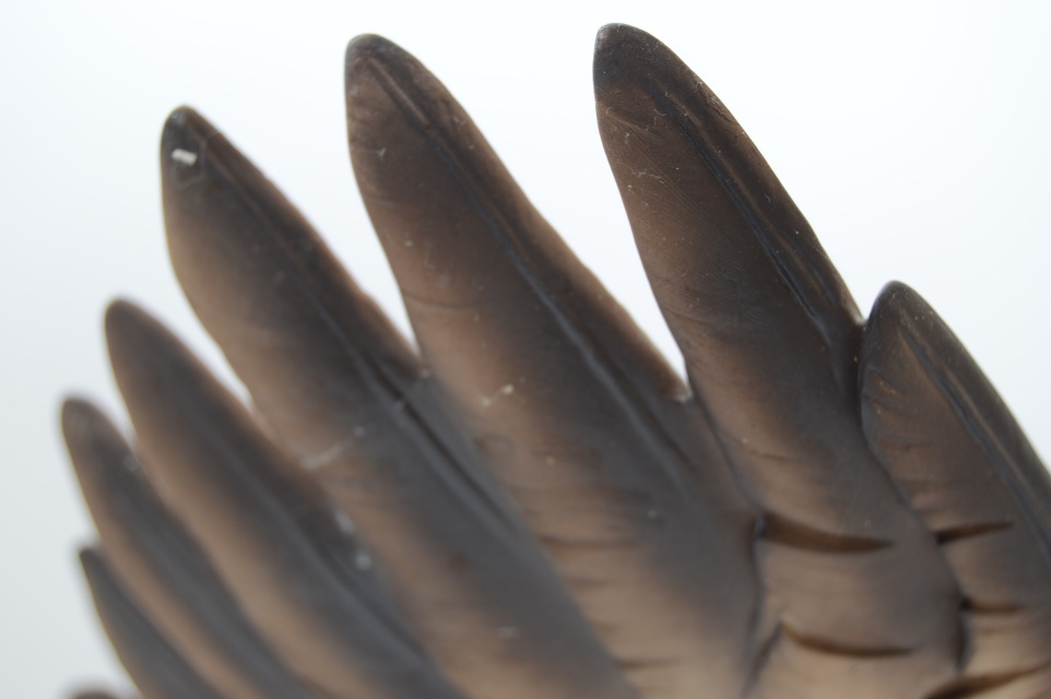 W.D. Gaither Bald Eagle and Sadek Owl