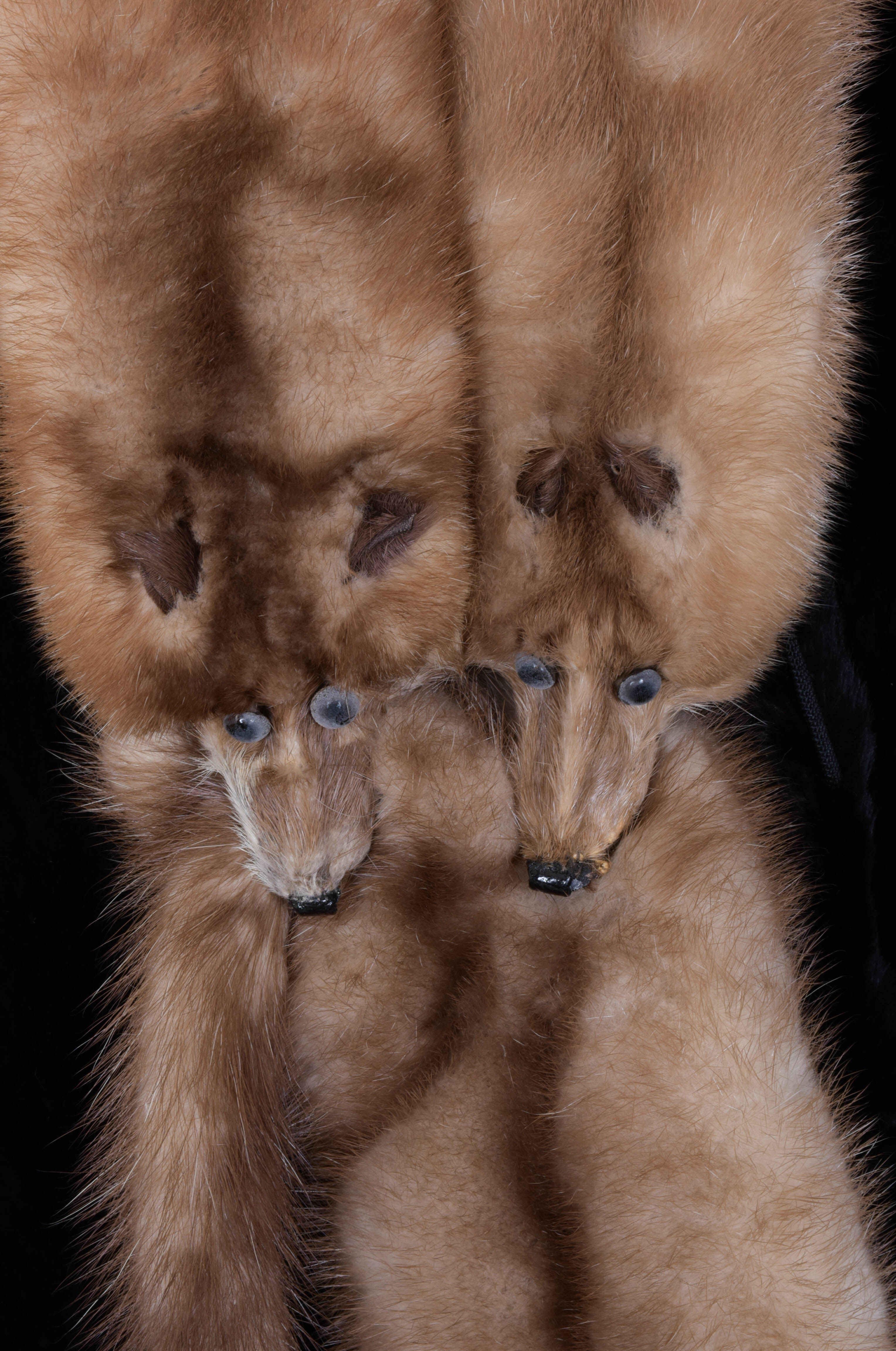 Vintage Fur Coat and Mink Stole