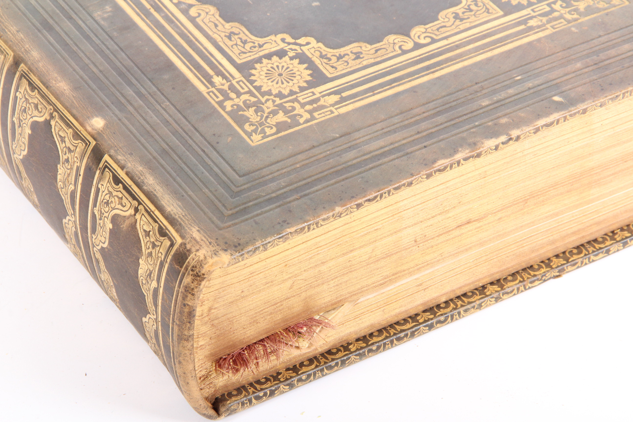 Antique Illustrated 1846 Leather Bound Bible