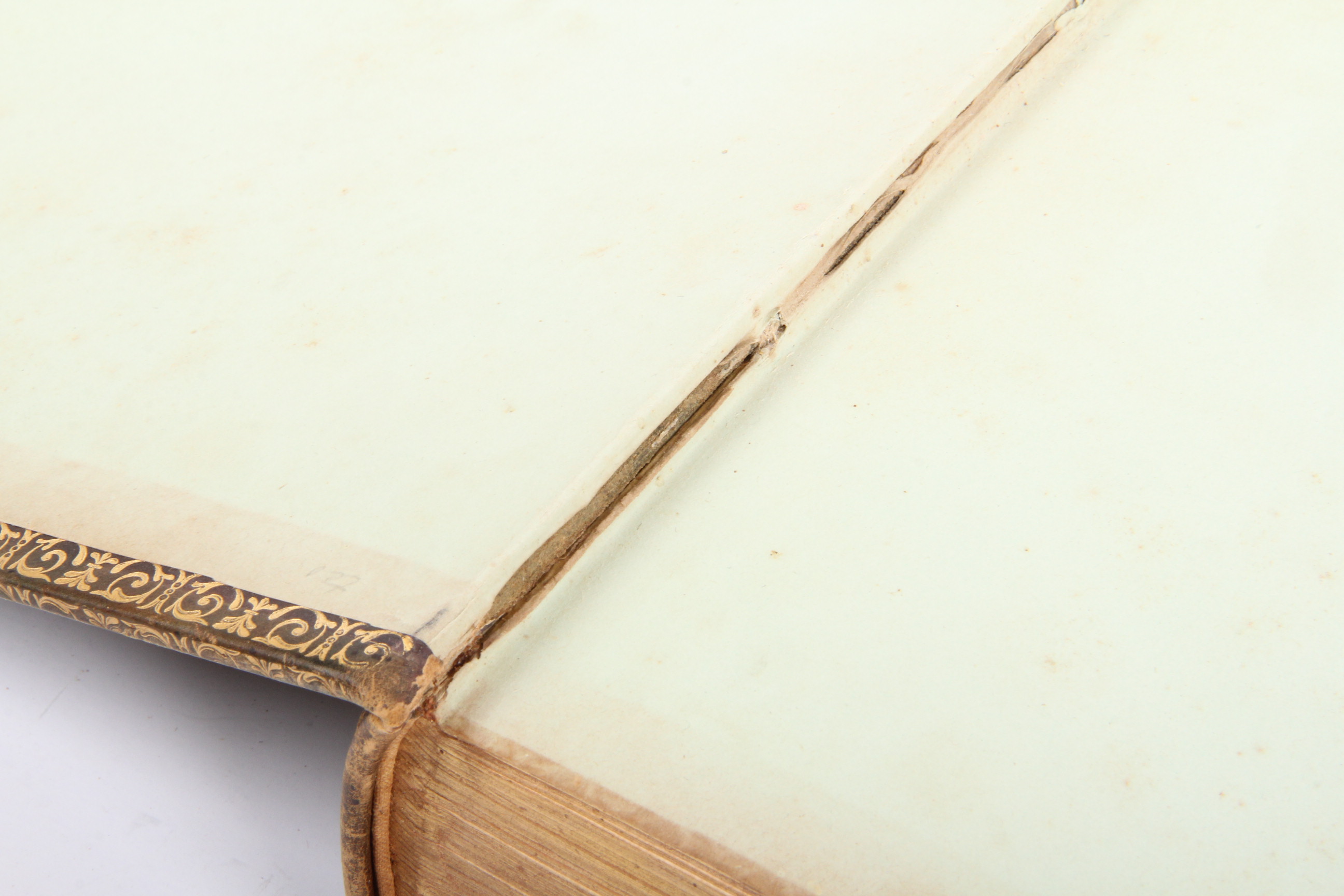 Antique Illustrated 1846 Leather Bound Bible