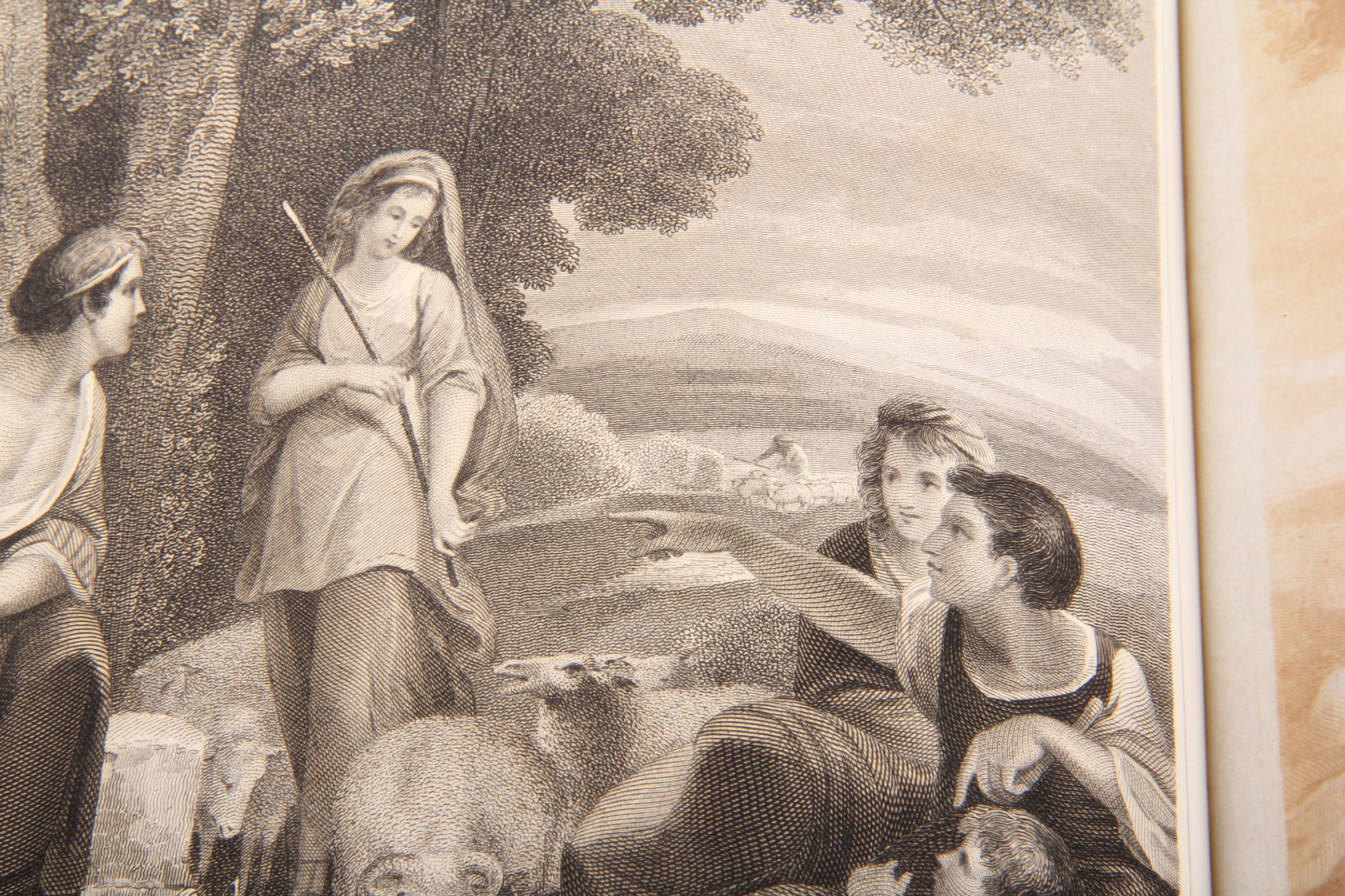 Antique Illustrated 1846 Leather Bound Bible