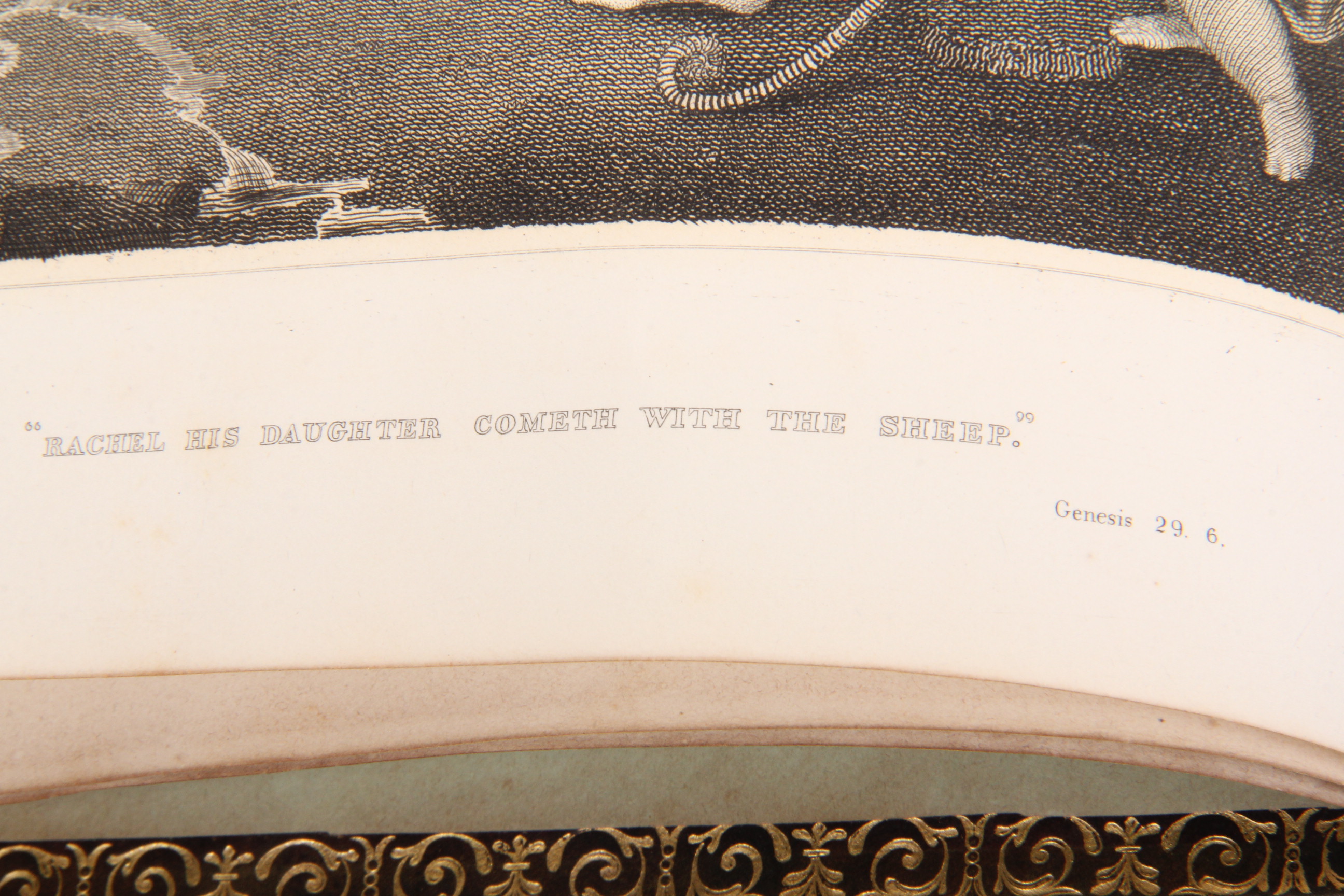 Antique Illustrated 1846 Leather Bound Bible