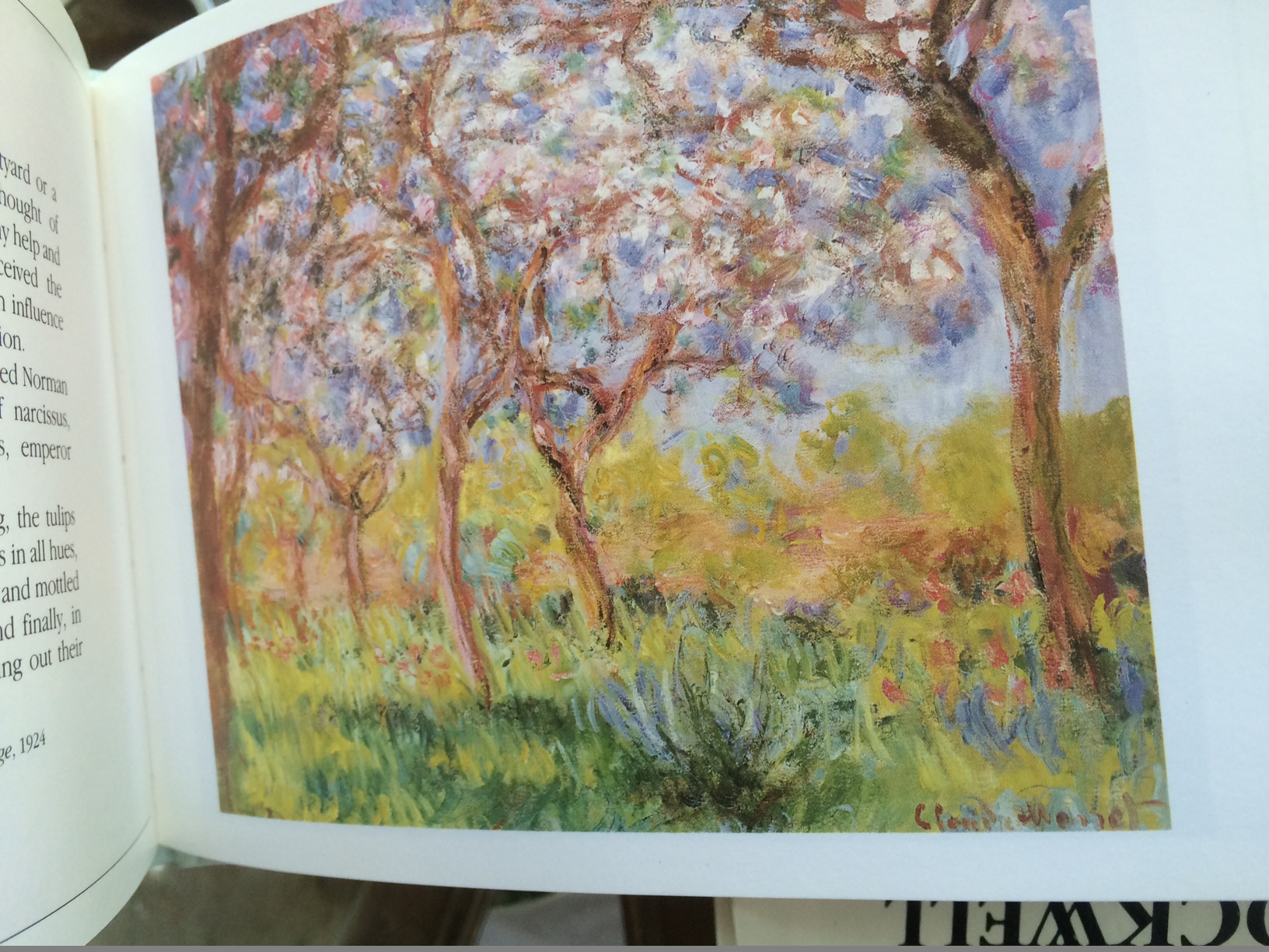 Collection of Books Including Monet, Rockwell, Pop-Up Pinocchio