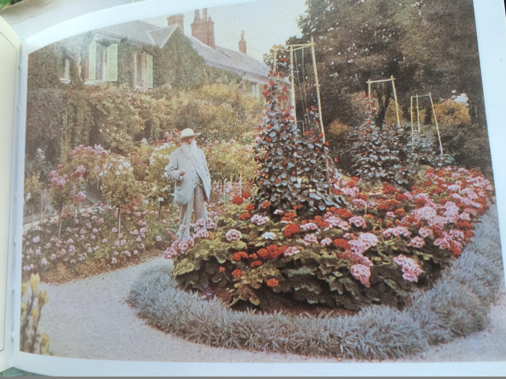 Collection of Books Including Monet, Rockwell, Pop-Up Pinocchio