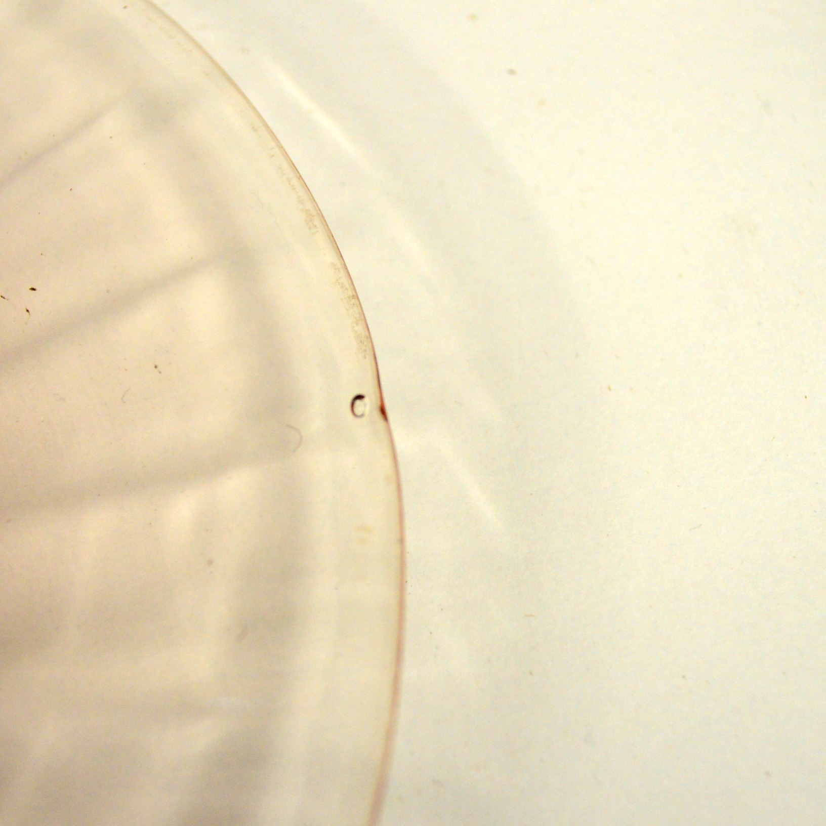 Set of Smith Glass "Homestead" Luncheon Plates