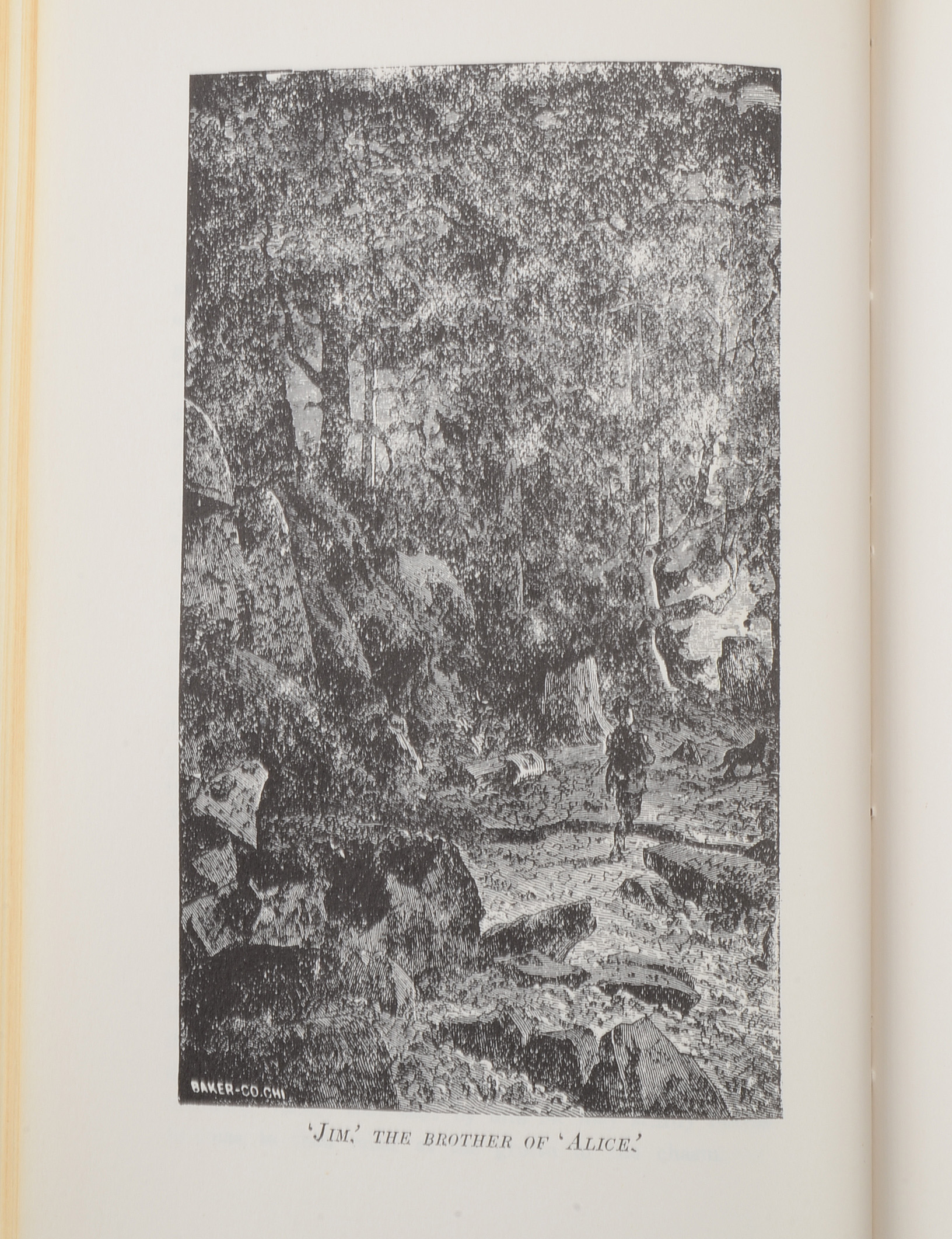 "Legends of Michigan and the Old Northwest" Hardcover