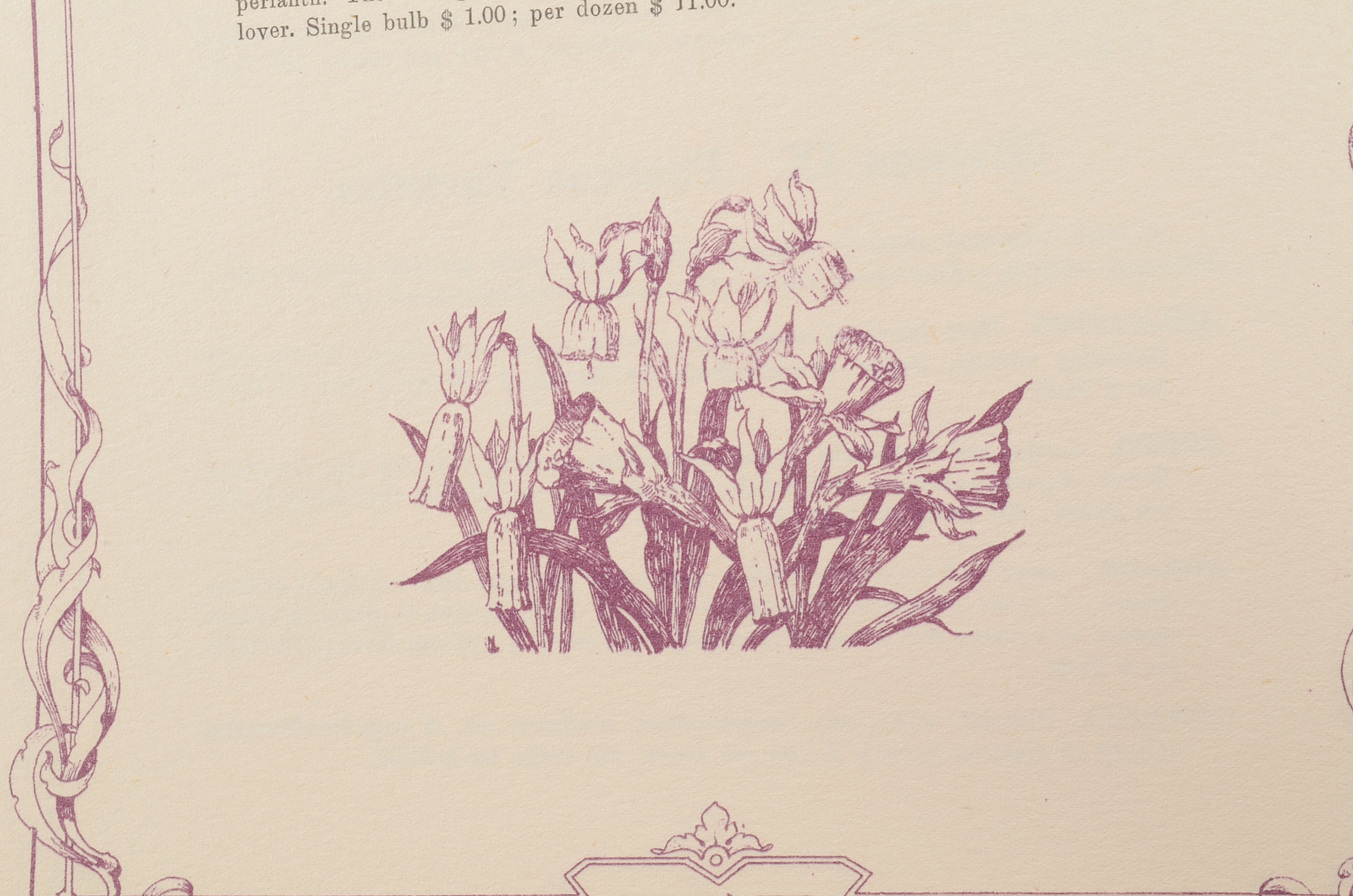1930 Vintage Flower Catalog