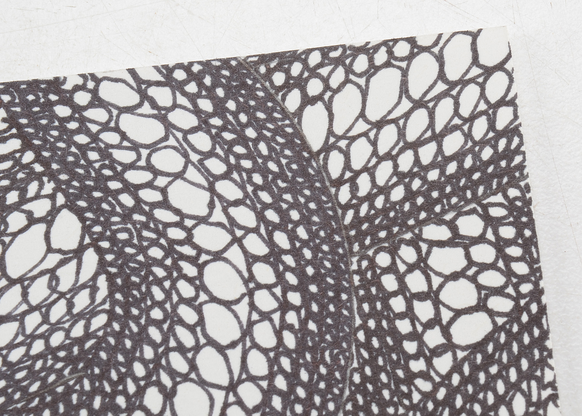 Margaret Wenstrup Original Miniature Ink Drawing