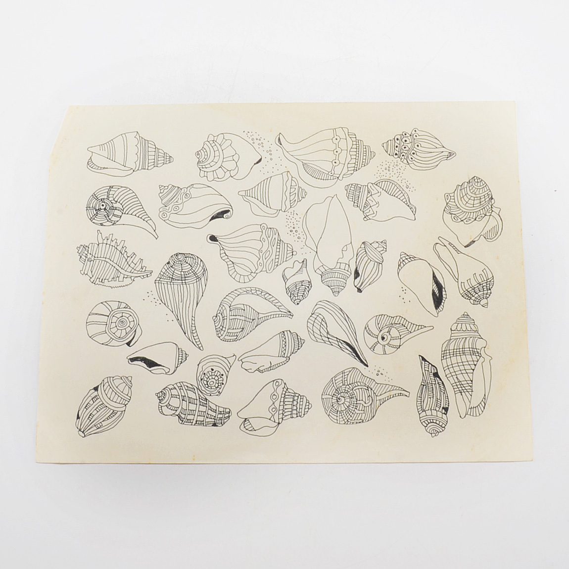 Margaret Wenstrup Original Ink Drawing of Seashells