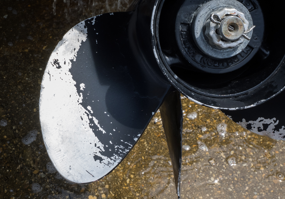 1988 Regal 19 Foot Empress 200XL and RamLin Trailer