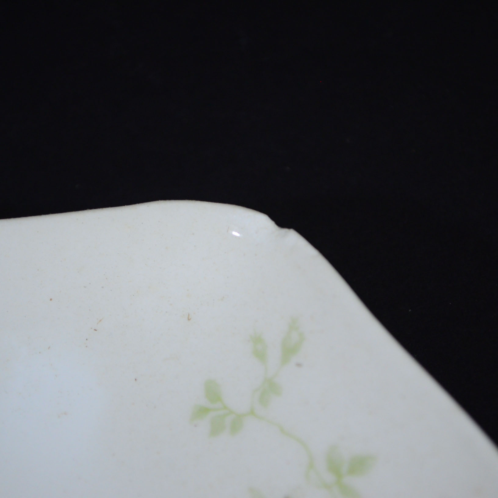 Limoges "Old Abbey"  China Dinnerware