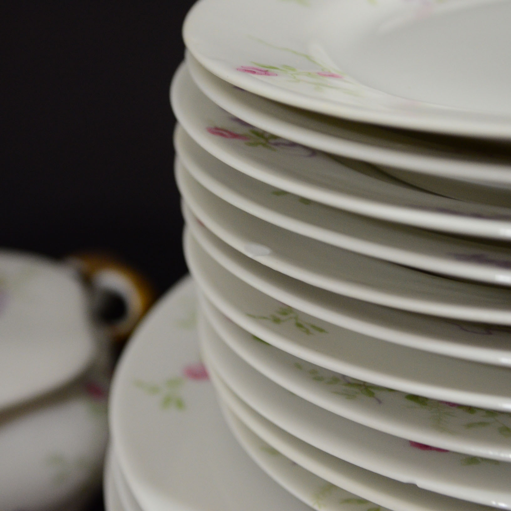 Limoges "Old Abbey"  China Dinnerware