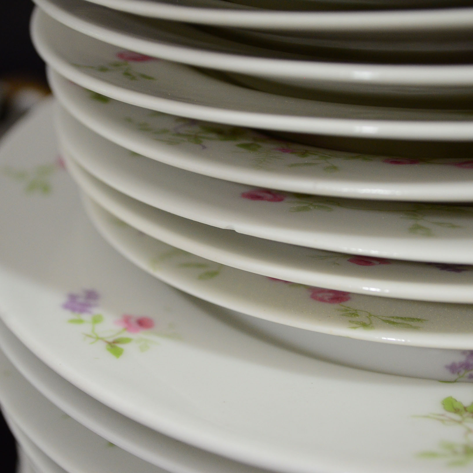 Limoges "Old Abbey"  China Dinnerware