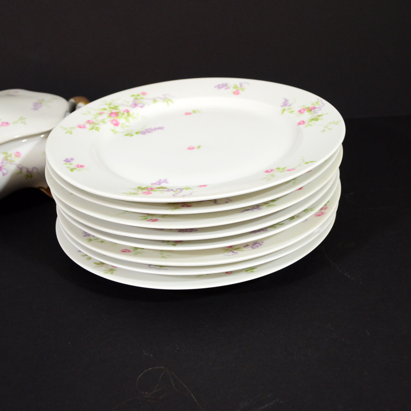 Limoges "Old Abbey"  China Dinnerware