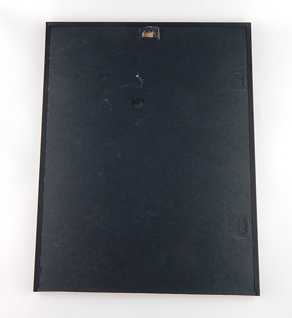 Emmitt Smith Signed Photograph