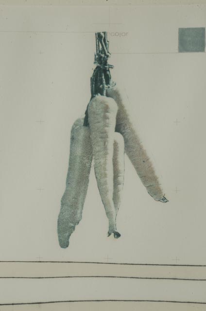 Yasufumi Chuma Original Mixed Media Monotype '"Memorandum"<Carrot>'