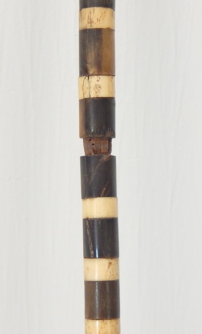 Antique Walking Cane