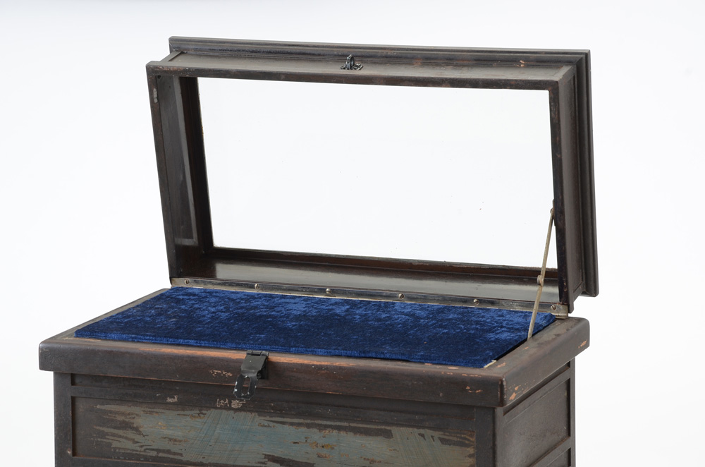 Industrial Rolling Display Case Cabinet