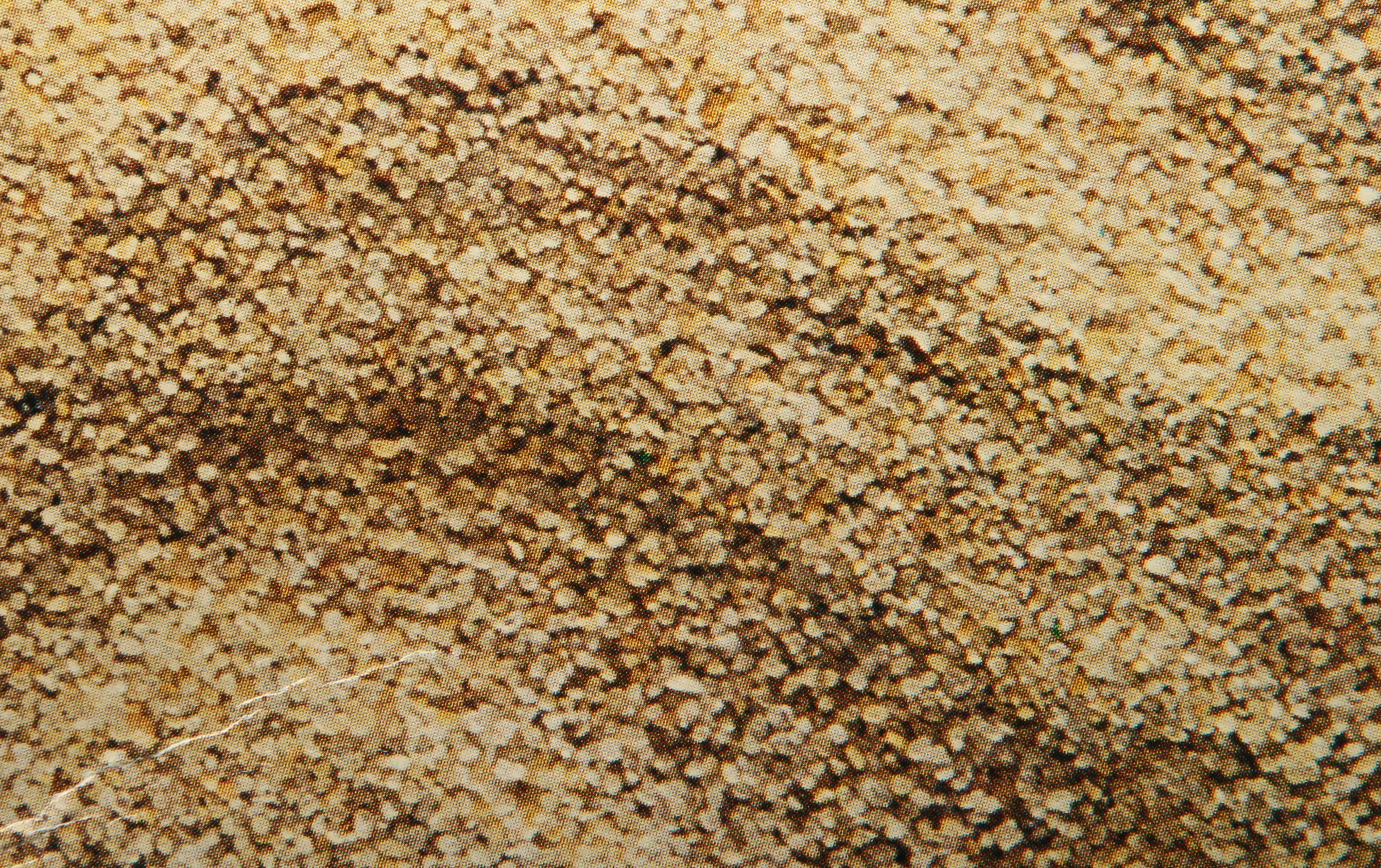 Rolex "Oyster" Watch Box