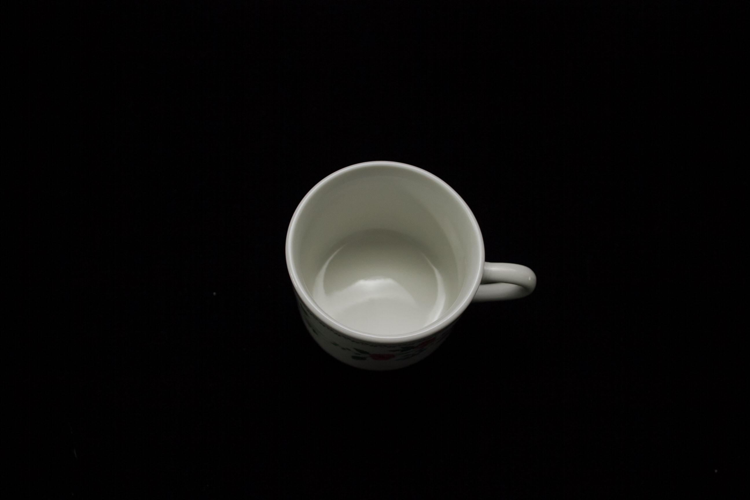 Farberware Stoneware "English Garden" Dinnerware