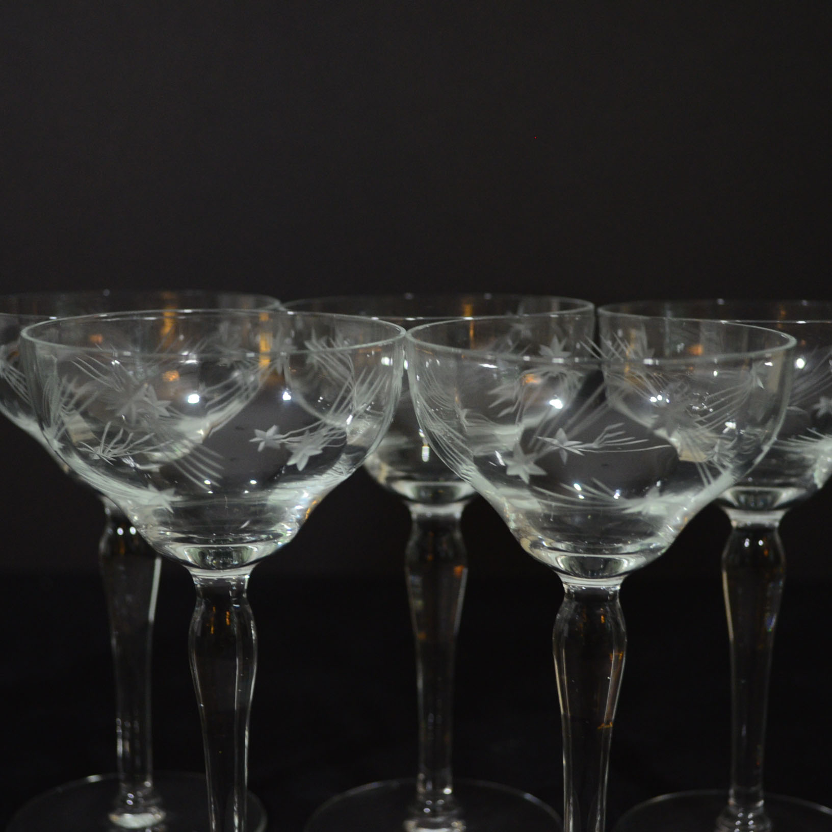 Etched Glass Martini Mixer and Coupe Glasses