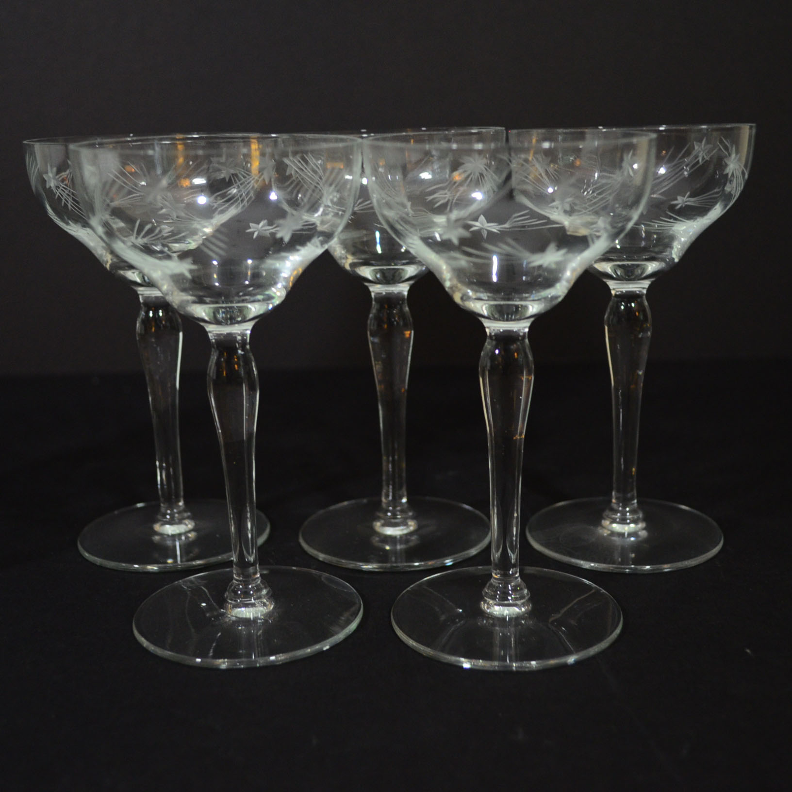 Etched Glass Martini Mixer and Coupe Glasses