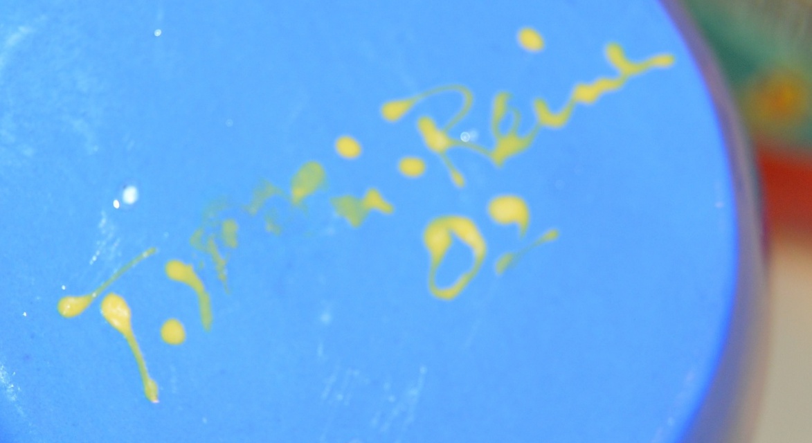 Hand Painted Serving Pieces by Berryware, Ganz and More