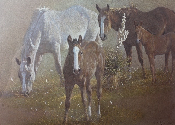 Limited Edition Signed Wayne Baize Print