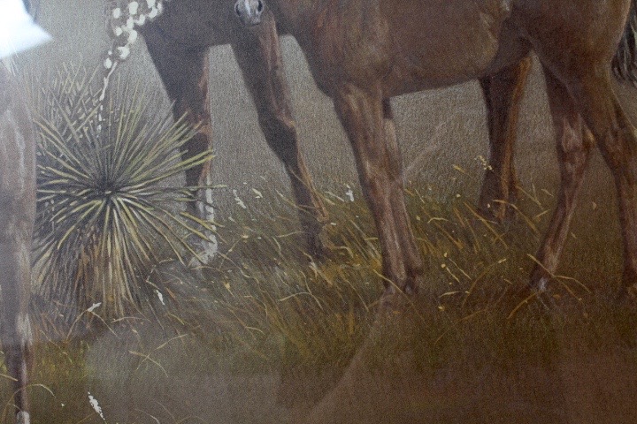 Limited Edition Signed Wayne Baize Print