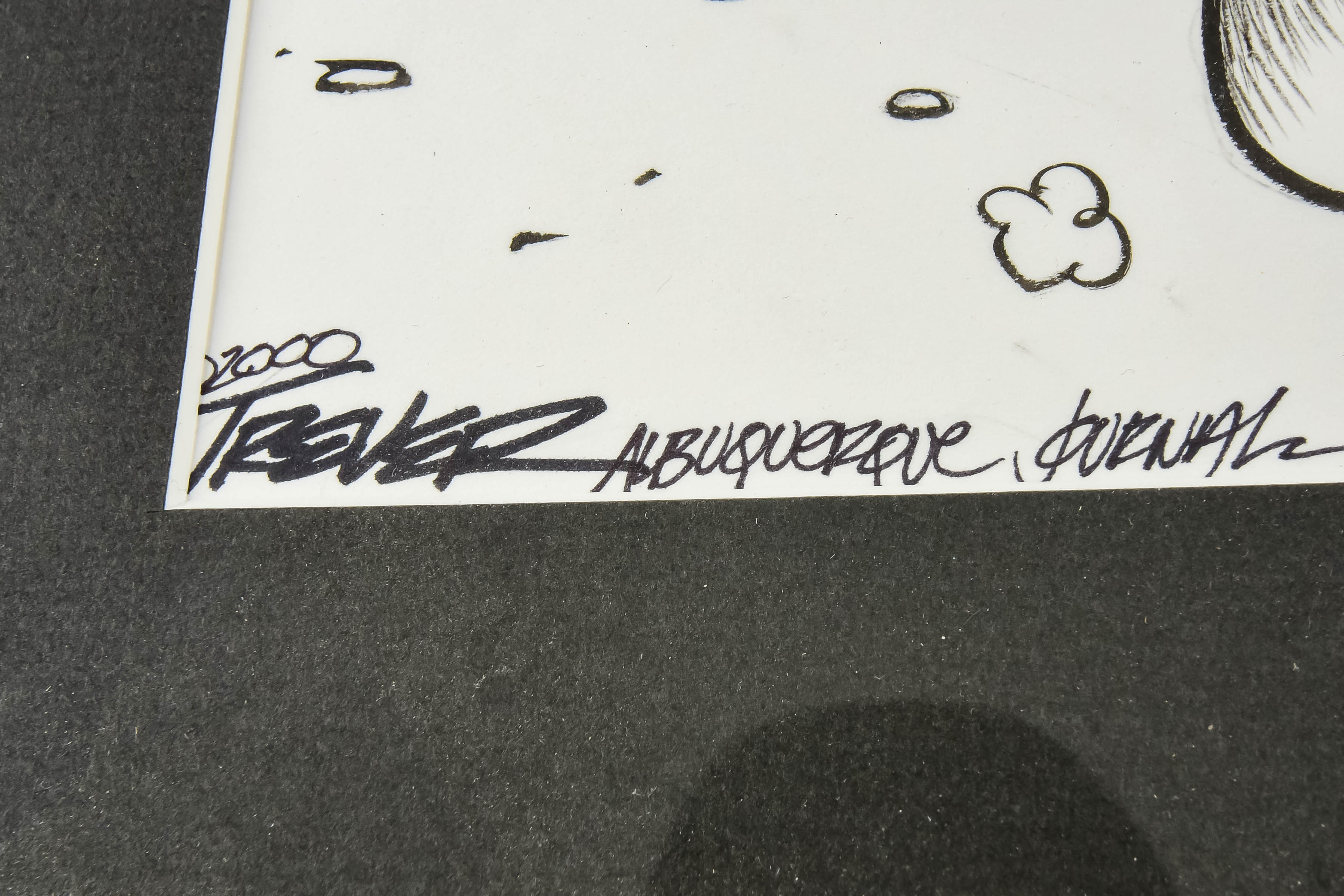 Framed Political Cartoon