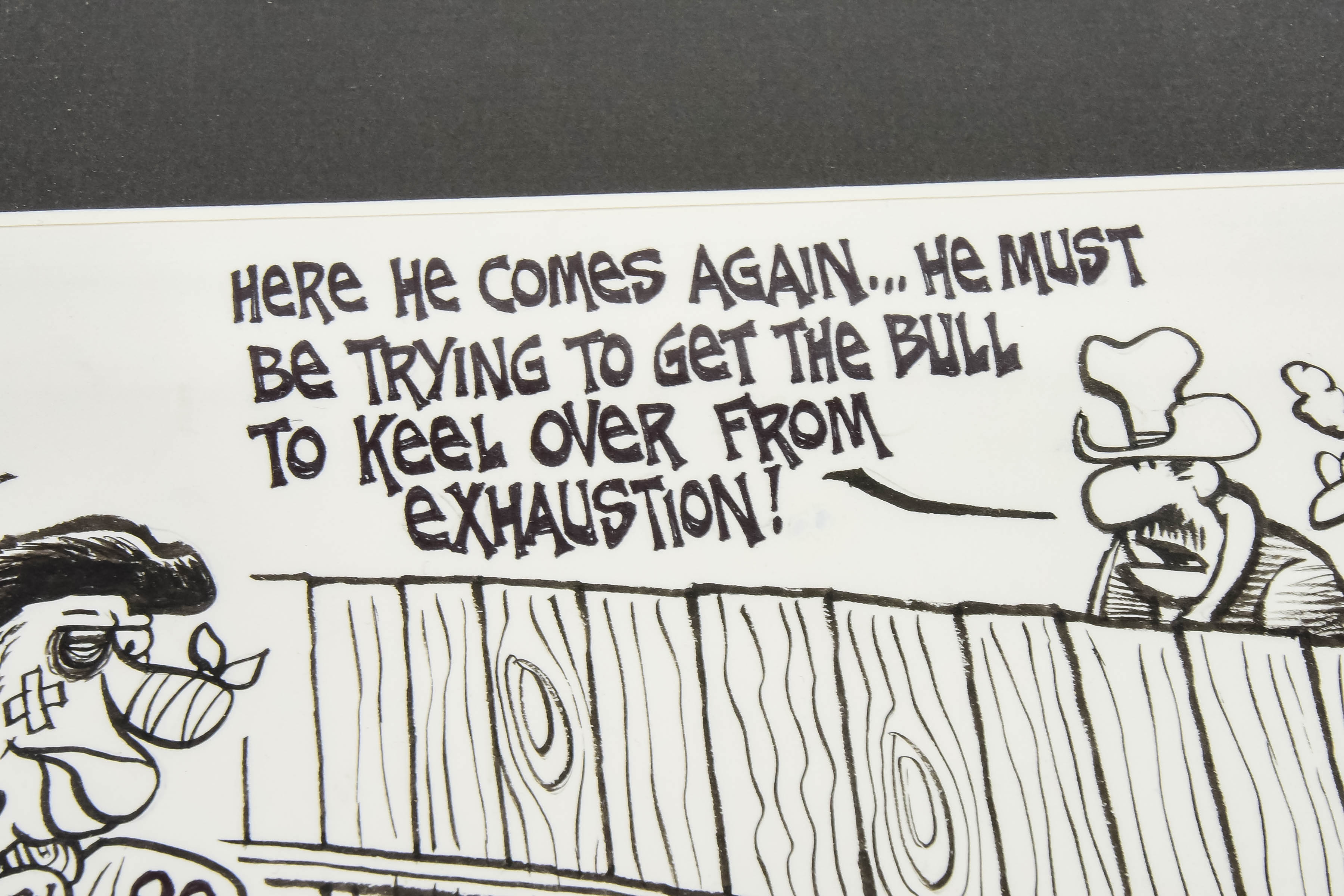 Framed Political Cartoon