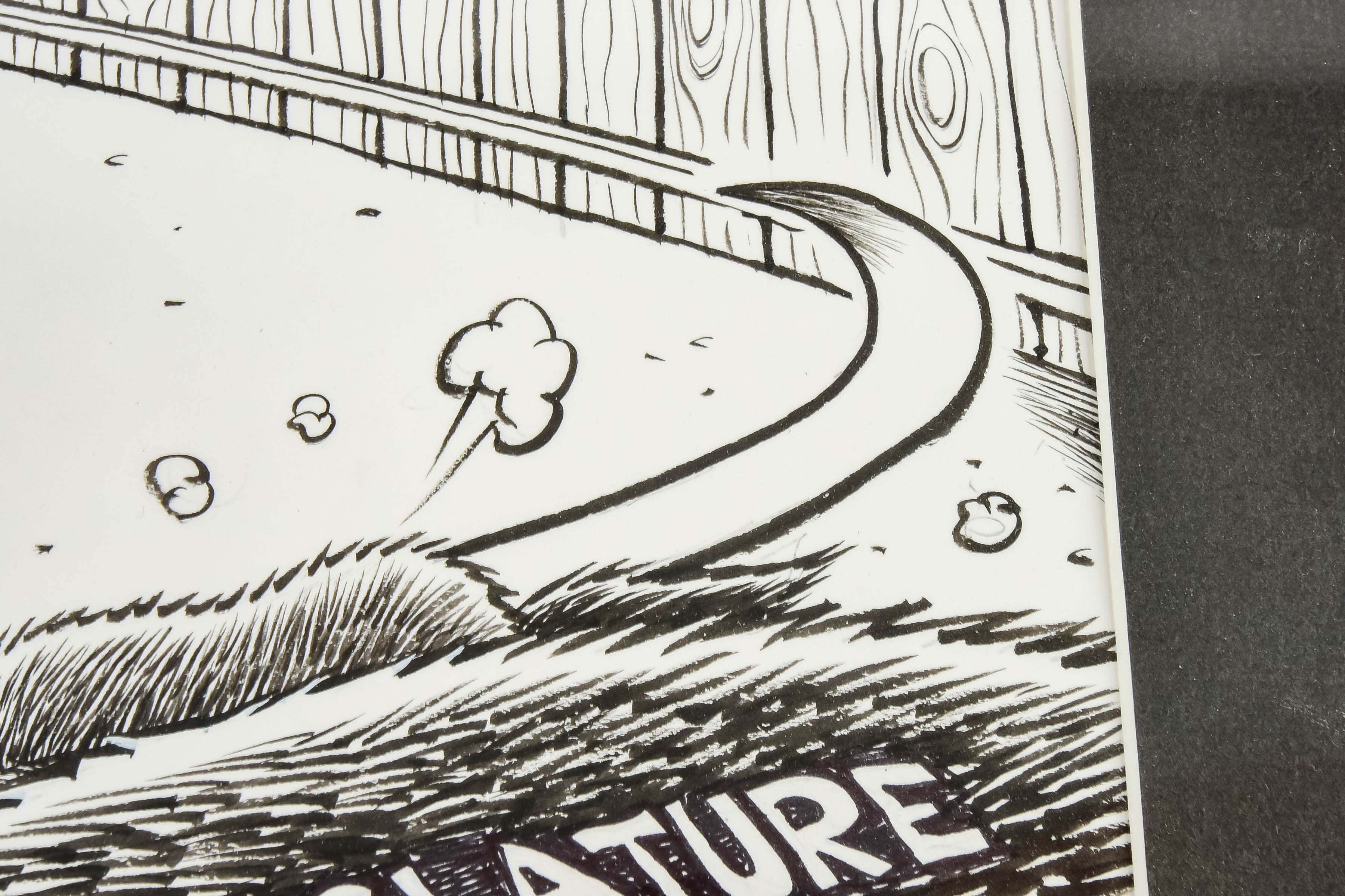 Framed Political Cartoon