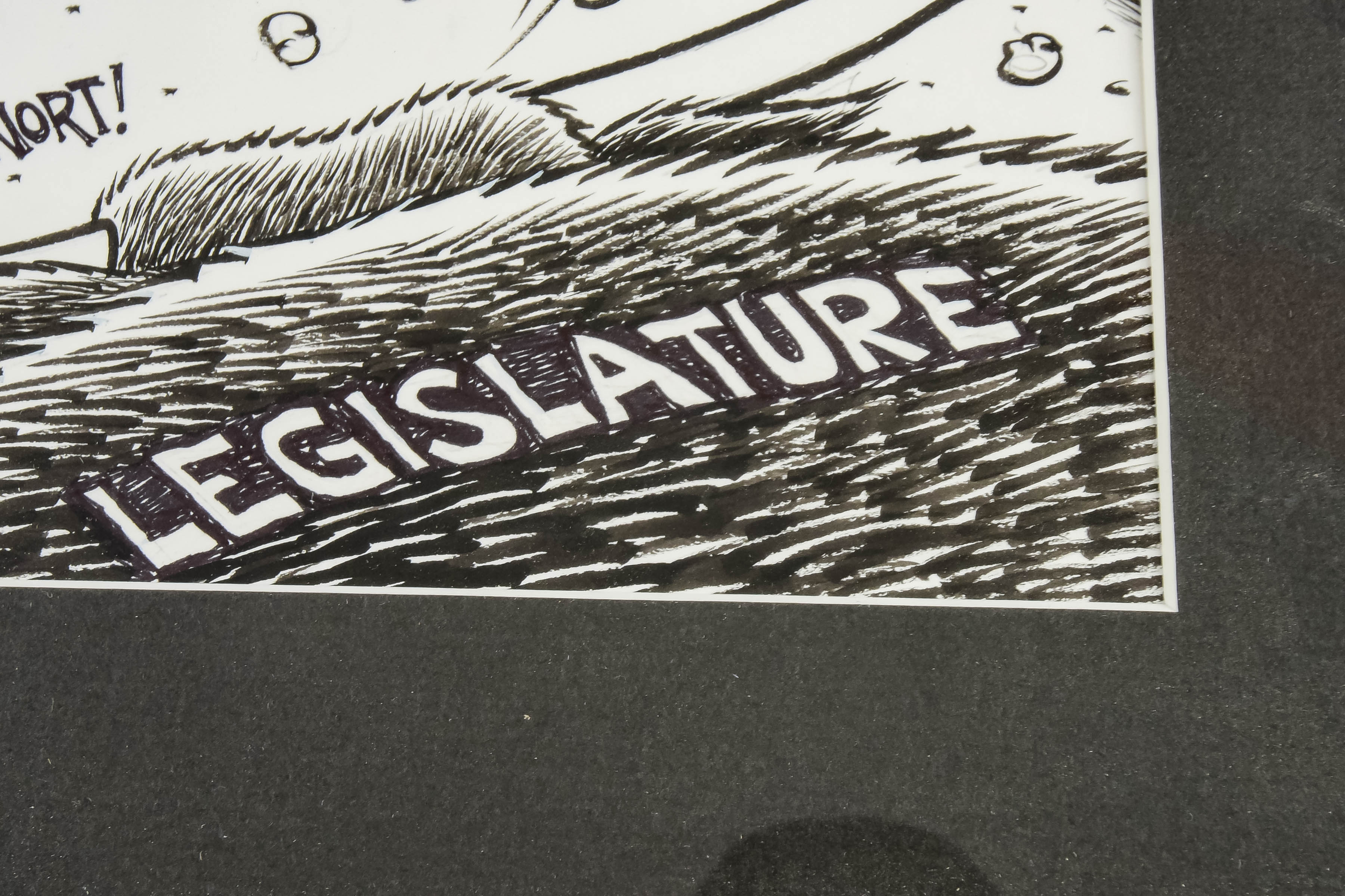 Framed Political Cartoon