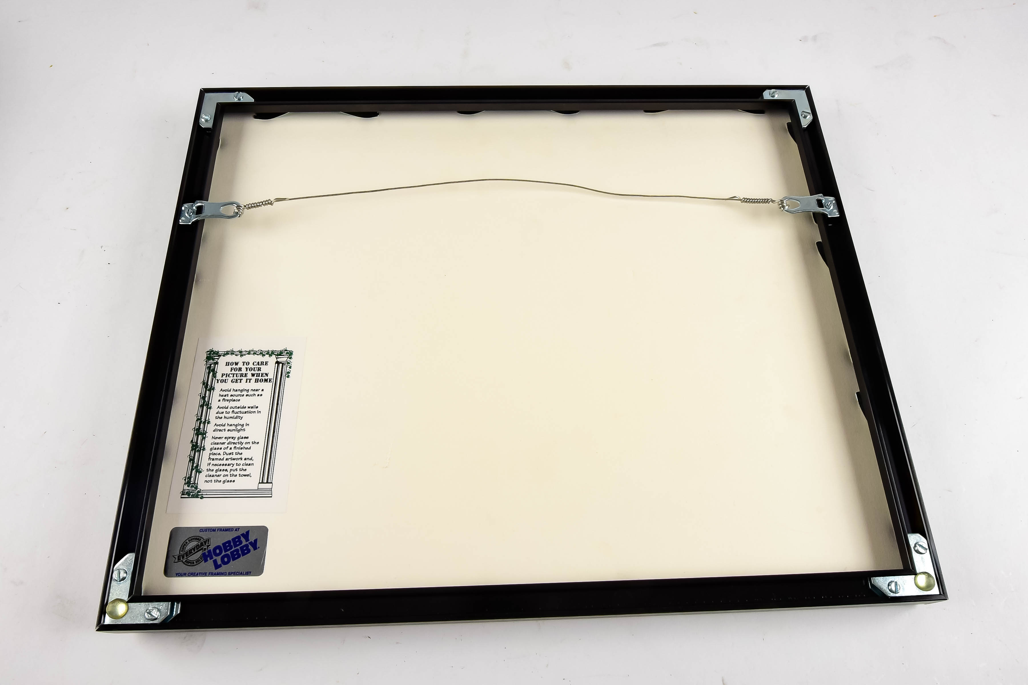 Framed Political Cartoon