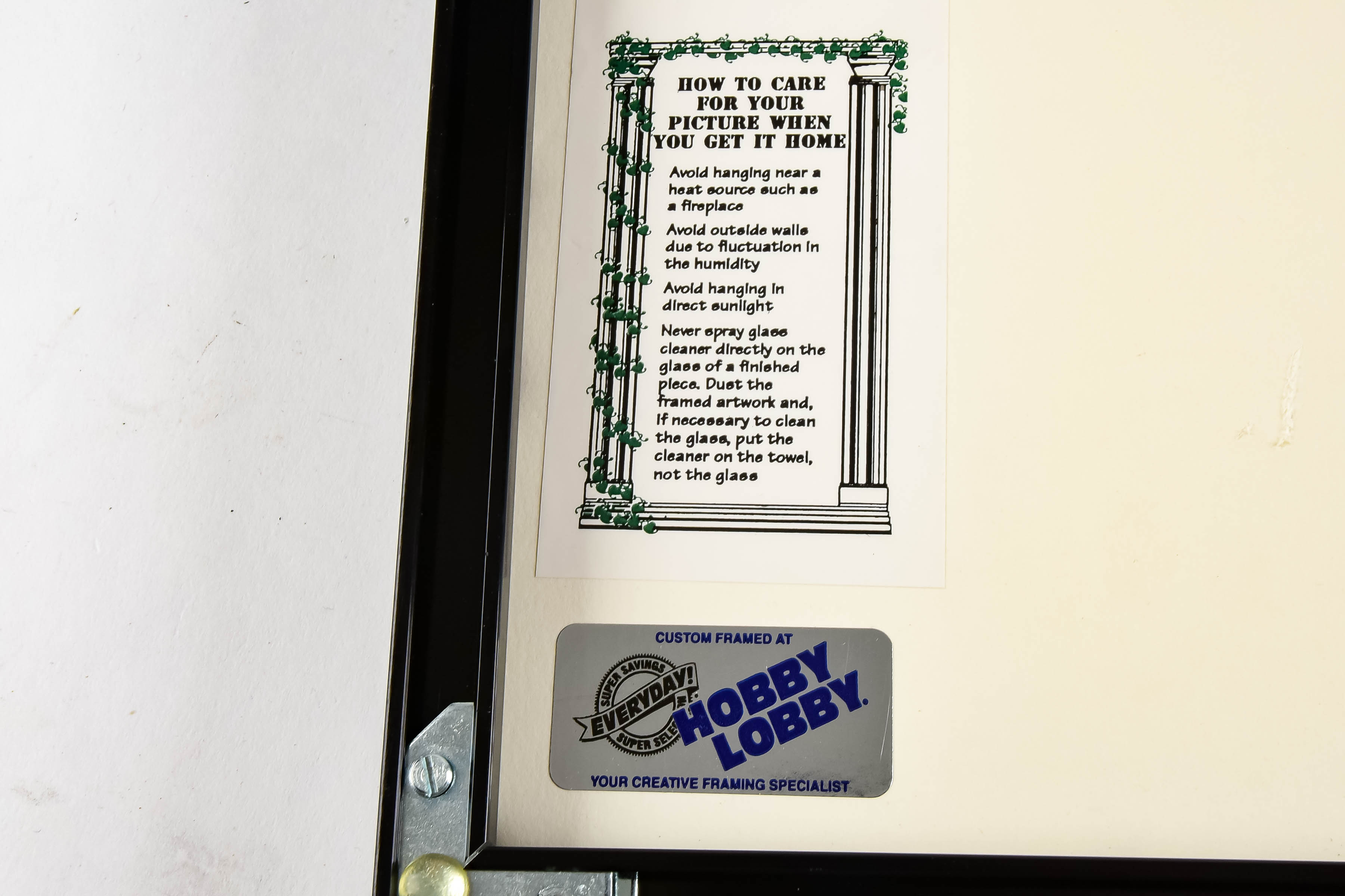 Framed Political Cartoon