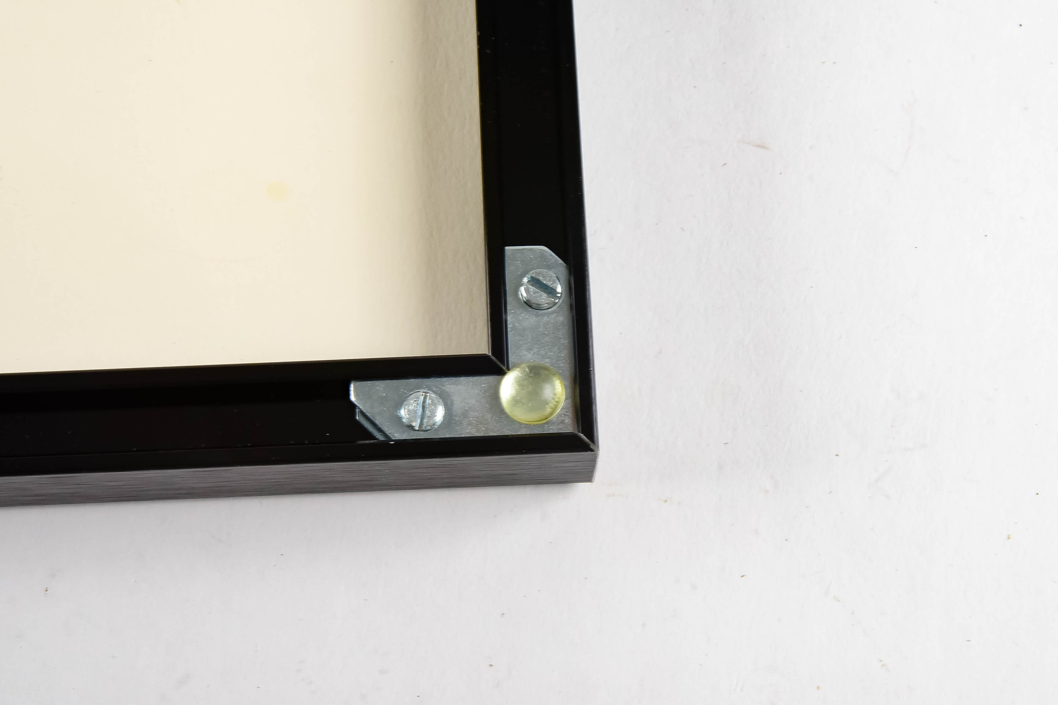 Framed Political Cartoon