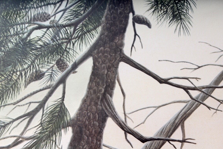 Limited Edition Signed "Kirtland's Warbler" Print by Listed Artist John A. Ruthven