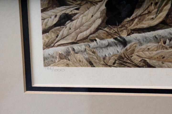 Limited Edition Signed "Kirtland's Warbler" Print by Listed Artist John A. Ruthven
