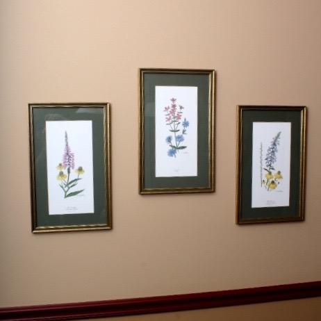 Collection of Six Ray Harm Wildflower Prints and Handcrafted Textile Art