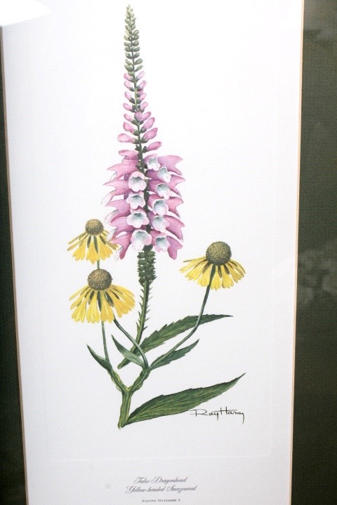 Collection of Six Ray Harm Wildflower Prints and Handcrafted Textile Art