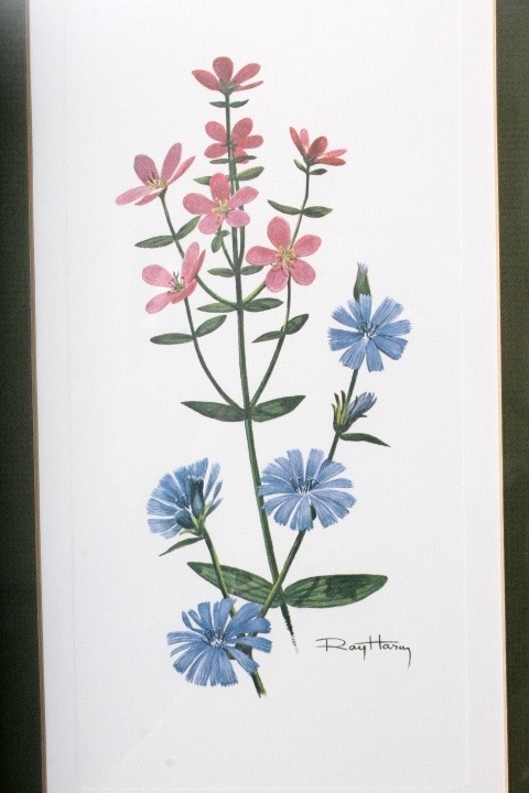 Collection of Six Ray Harm Wildflower Prints and Handcrafted Textile Art