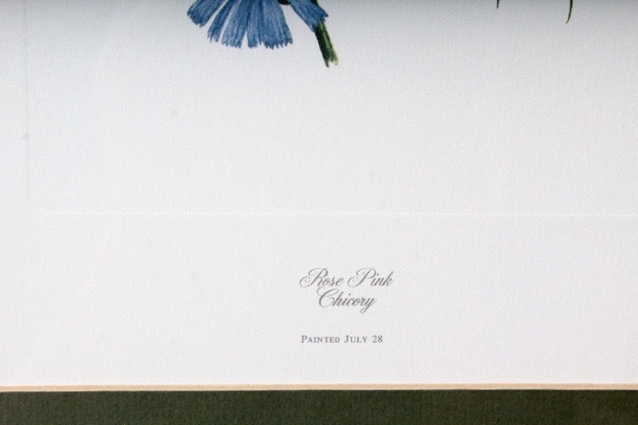 Collection of Six Ray Harm Wildflower Prints and Handcrafted Textile Art