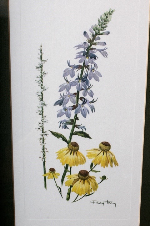 Collection of Six Ray Harm Wildflower Prints and Handcrafted Textile Art
