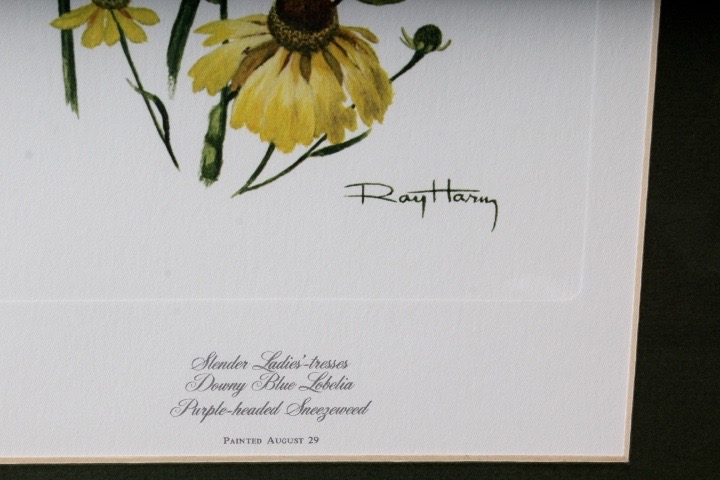 Collection of Six Ray Harm Wildflower Prints and Handcrafted Textile Art