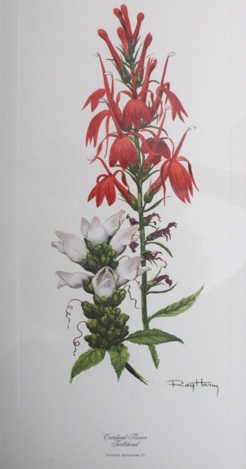 Collection of Six Ray Harm Wildflower Prints and Handcrafted Textile Art